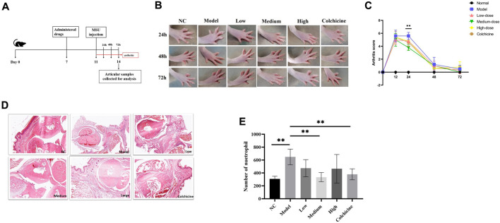 FIGURE 4