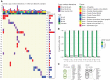 Figure 5. CNVs are found in the normal brain. Visualization of detected sCNVs in the GTEx and BrainVar databases (A). Color codes indicate different age ranges, brain regions, and types of alteration (gain, loss, or LOH). Upper bar plot summarizes the counts of the different alteration types, and the bar plot on the right side also summarizes the alteration types but sorted by chromosome. Labels along the left y-axis refer to chromosome arms, and the percentages displayed in the right y-axis represent the frequency of events in each chromosome arm. B, Distribution of sCNV events across different ages from prenatal to elder. The number of individuals under each age range is described under the age label. C, Graphic representation of two representative sCNVs and the genes located in that region, one involving the whole chromosome 19 found at 19% clonality and the second involving the q-arm of chromosome 22 found at 24% clonality.