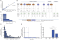 Figure 2. Nondiseased brains harbor low allele frequency cancer reported mutations. A, Correlation between MIPs and Ion Torrent VAFs of 12 unique variants detected in the normal brain. B, List of validated brain-specific somatic variants showing general information such as variant allele frequency, pathogenicity prediction, and presence in cancer databases. In addition, we describe detected germline variants with functional impact for each individual. N/R, not reported; NSYND3, highest score in predicted pathogenicity; UNCERTAIN, uncertain pathogenicity of variants with clinical significance, CLINSIG. C, Distribution frequency of genes affected by the detected oncogenic variants found in the brain. D, Distribution frequency of the most affected driver genes found in LGG with pathogenicity relevance (Intogen database); black arrows indicate overlap with our discovered genes. E, Number of oncogenic mutations found in CXW (circles, two-tailed Fisher exact test, P = 0.025) as a function of age (years). F, Comparison of the number of pathogenic mutations found in CX (n = 53), CXG (n = 92), and CXW (n = 94) and HC (n = 69); Fisher exact test, CXW versus CXG P = 0.028, HC versus CXG P = 0.182, CXW versus HC P = 0.4.