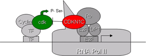 FIGURE 9.