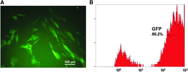 FIG. 1.