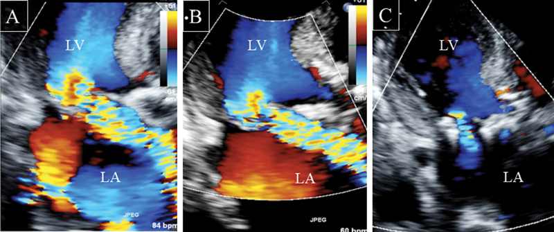 Fig. 2