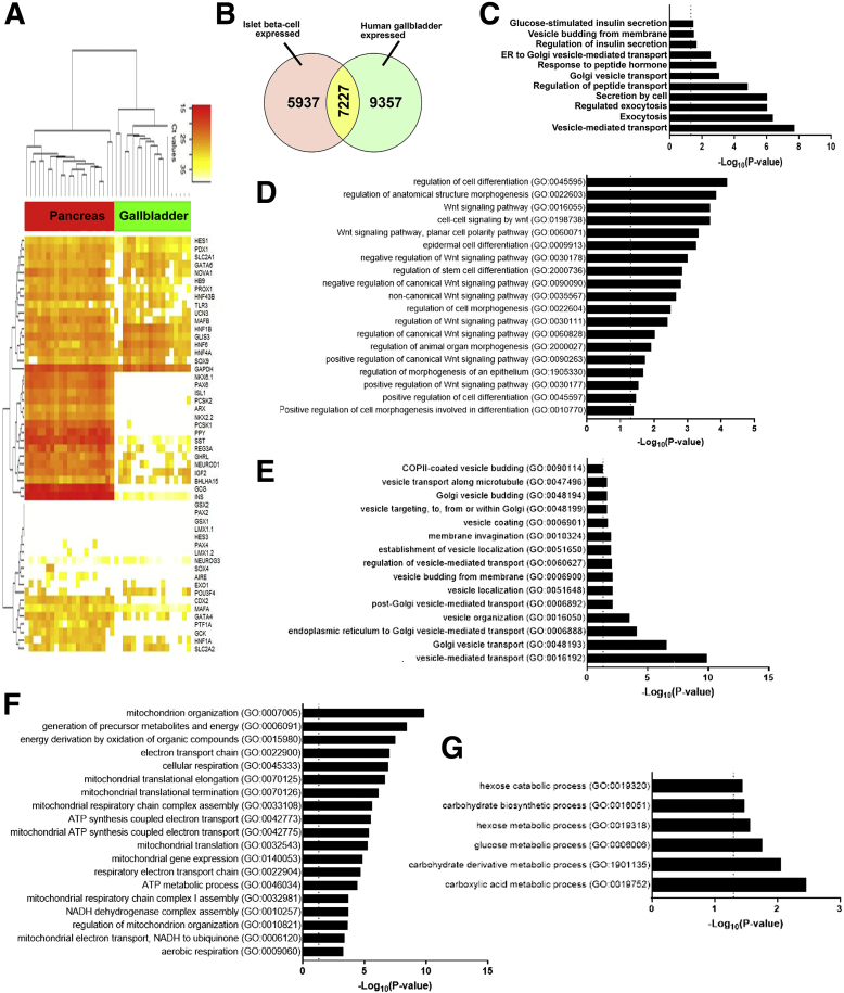 Figure 6