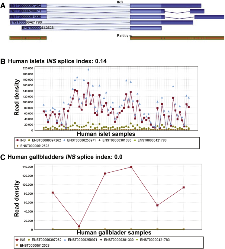 Figure 11