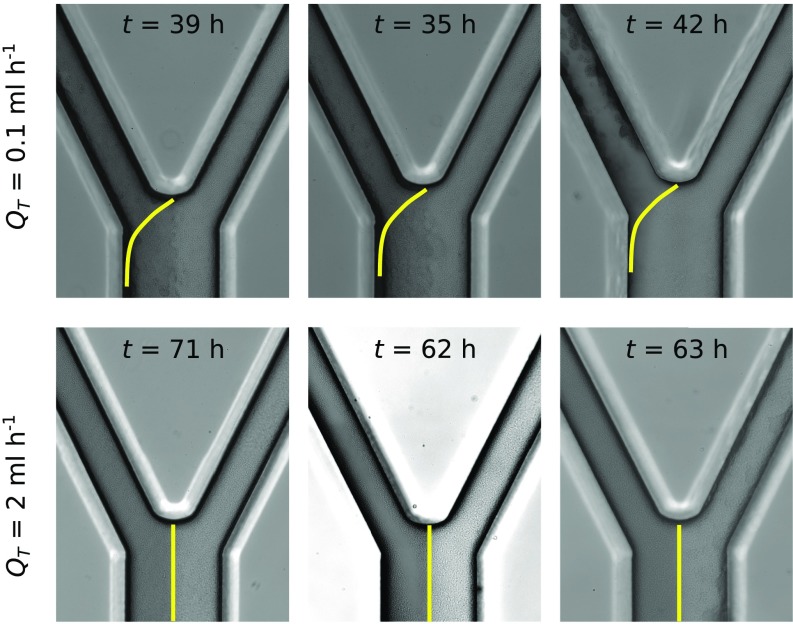 Fig. S3.