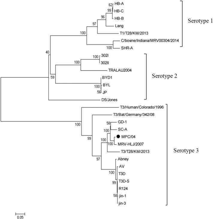 Fig. 4