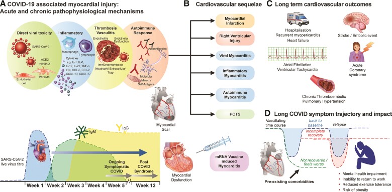 Graphical Abstract