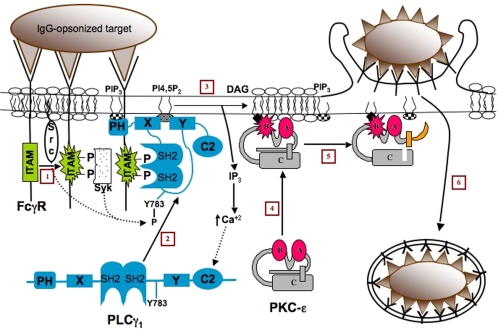 Figure 10.