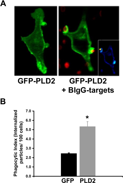 Figure 5.