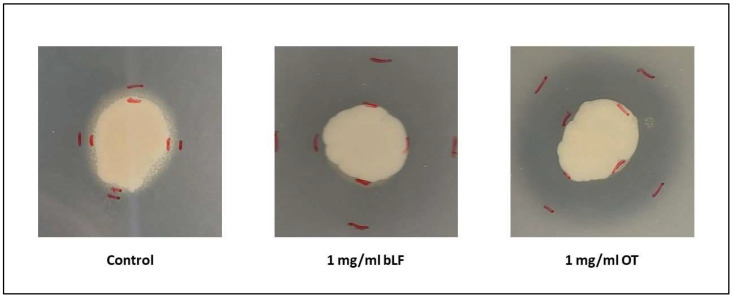 Figure 10