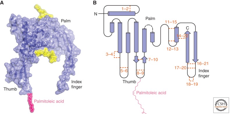 Figure 1.