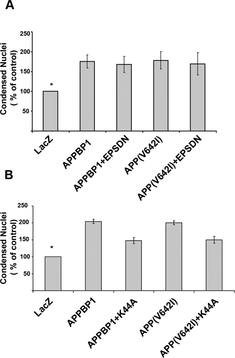 Figure 11.