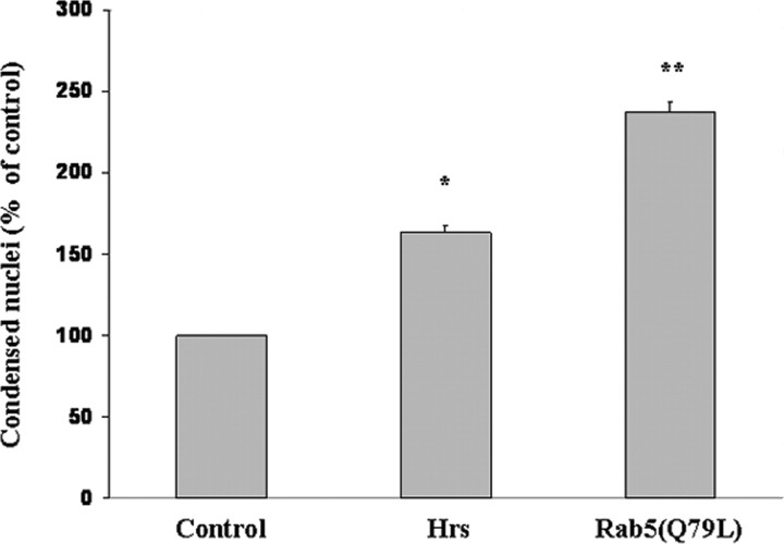 Figure 12.