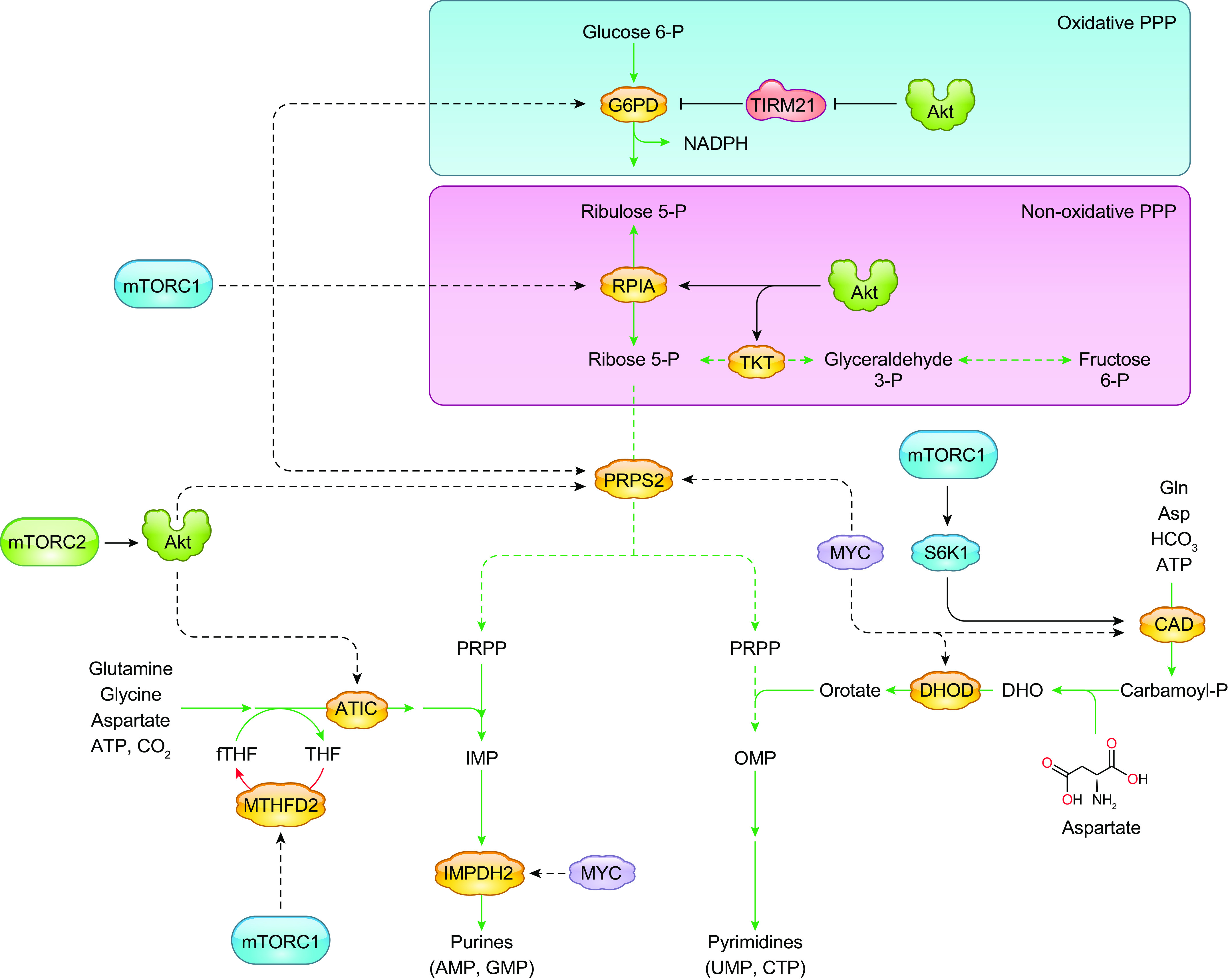 FIGURE 4.