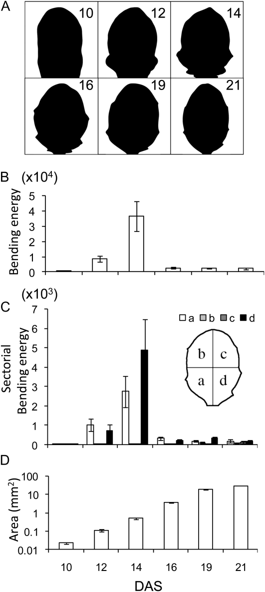 Figure 5.