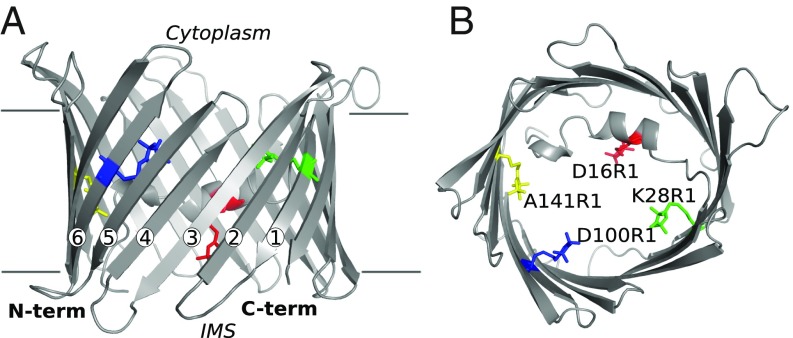 Fig. 1.