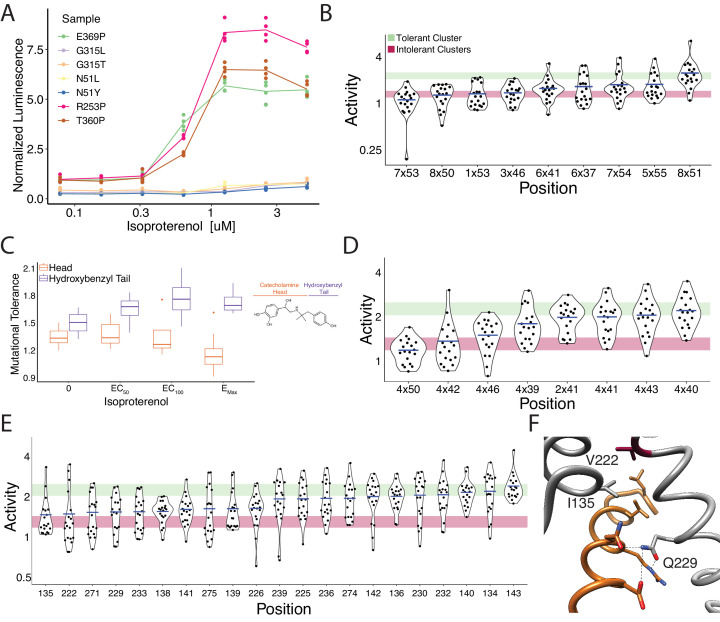 Figure 5—figure supplement 2.