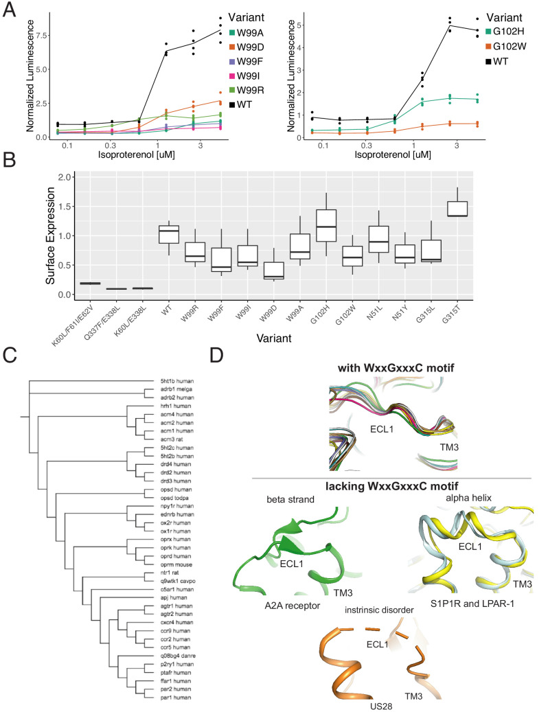 Figure 6—figure supplement 1.