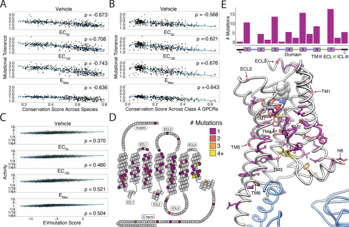 Figure 3—figure supplement 1.