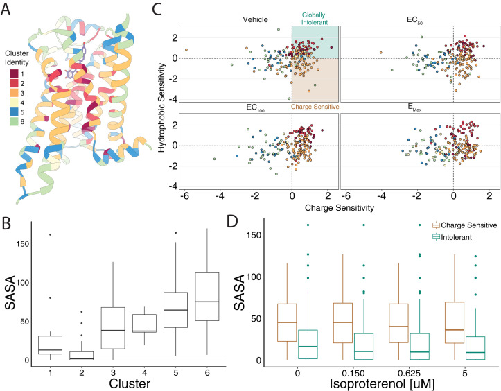 Figure 5—figure supplement 1.