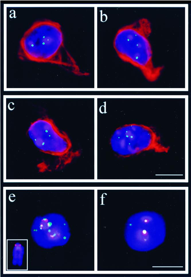 FIG. 6