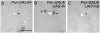 F<sc>igure</sc> 8.—