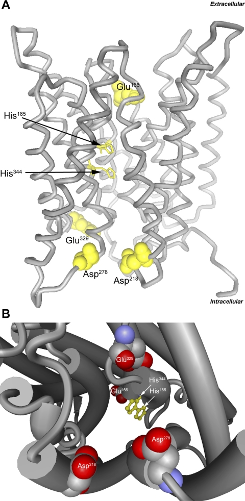 Fig. 8.