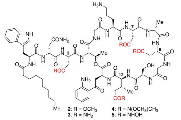 Fig. 2