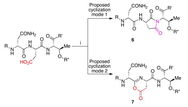 Scheme 1