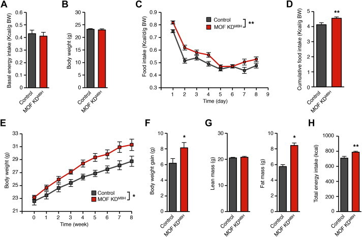 Figure 6