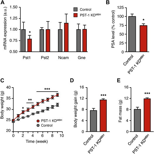 Figure 2