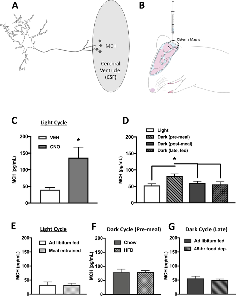 Figure 6: