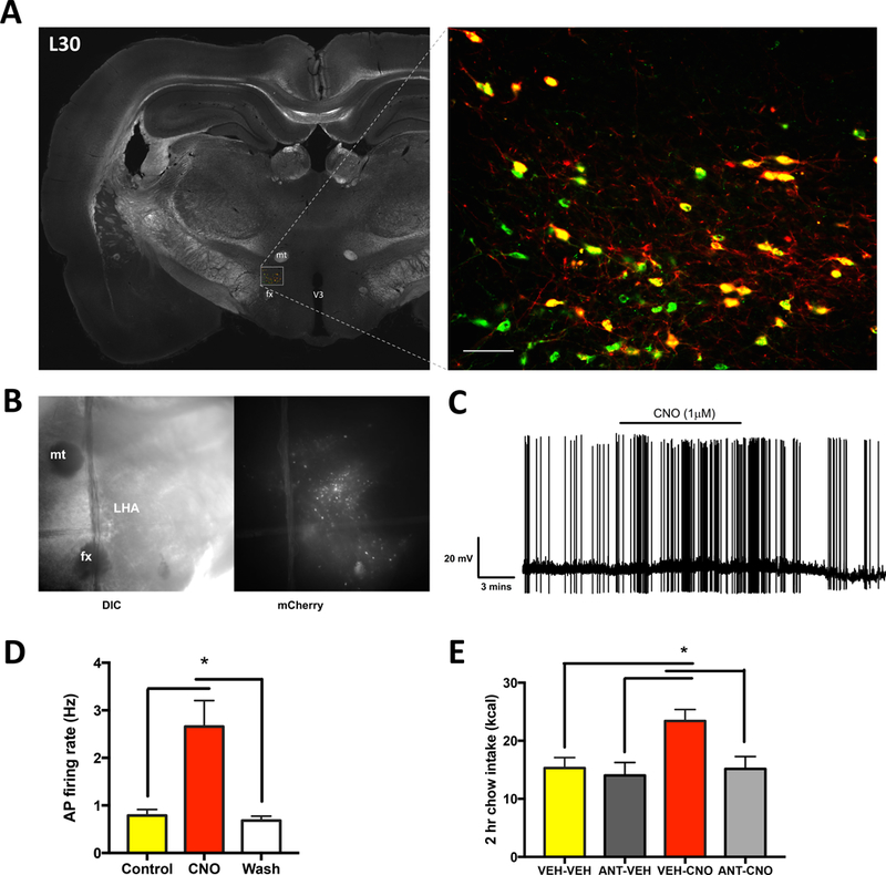 Figure 5: