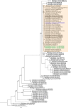 Figure 7: