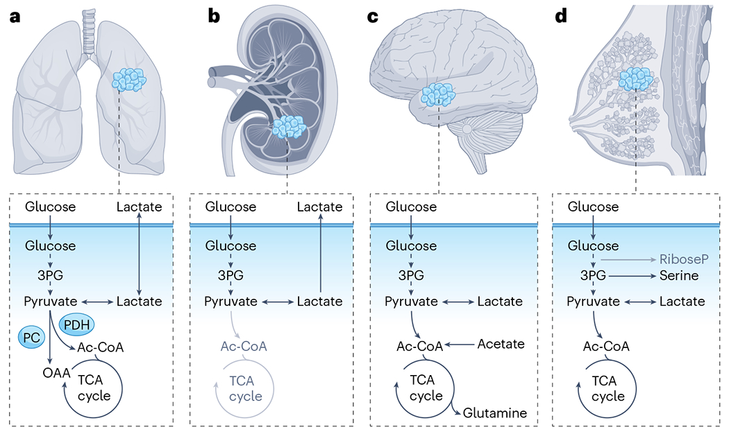 Fig. 2 |