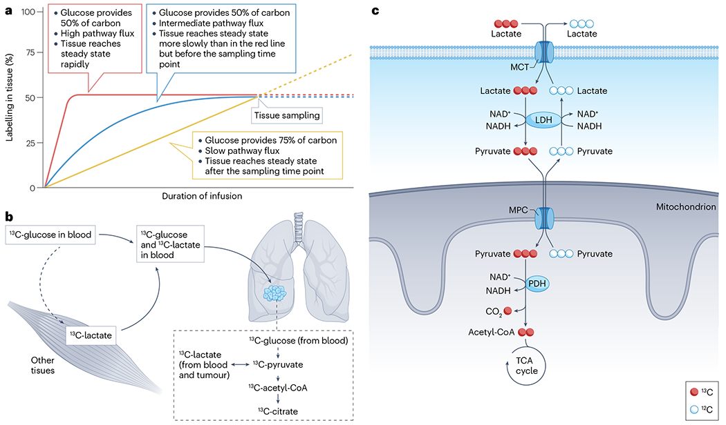 Fig. 4 |