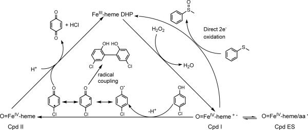 Scheme 1