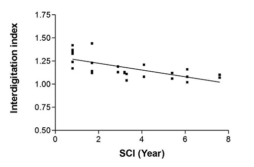 Fig 2.