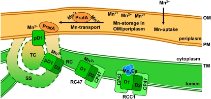 Figure 10.