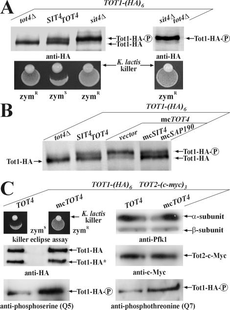 Figure 6.