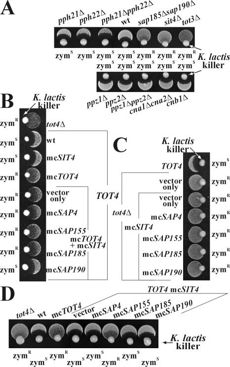 Figure 5.