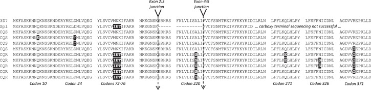 Figure 3.