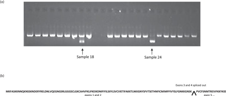 Figure 2.