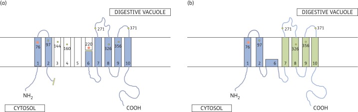 Figure 5.