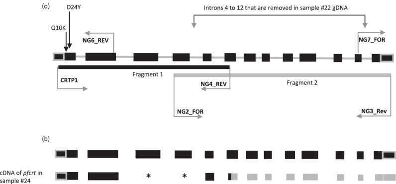 Figure 1.