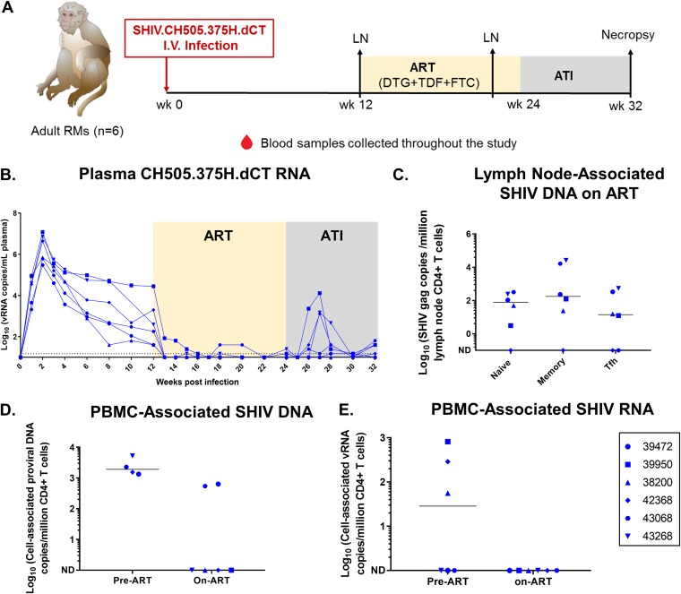 FIG 3