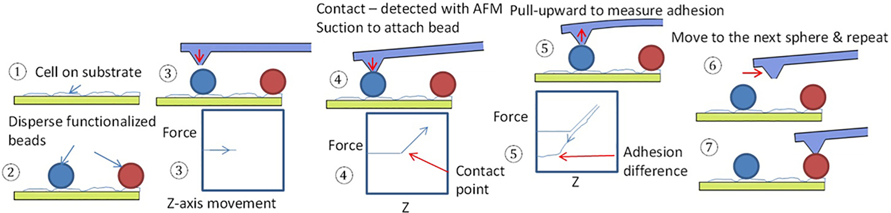 Fig. 3: