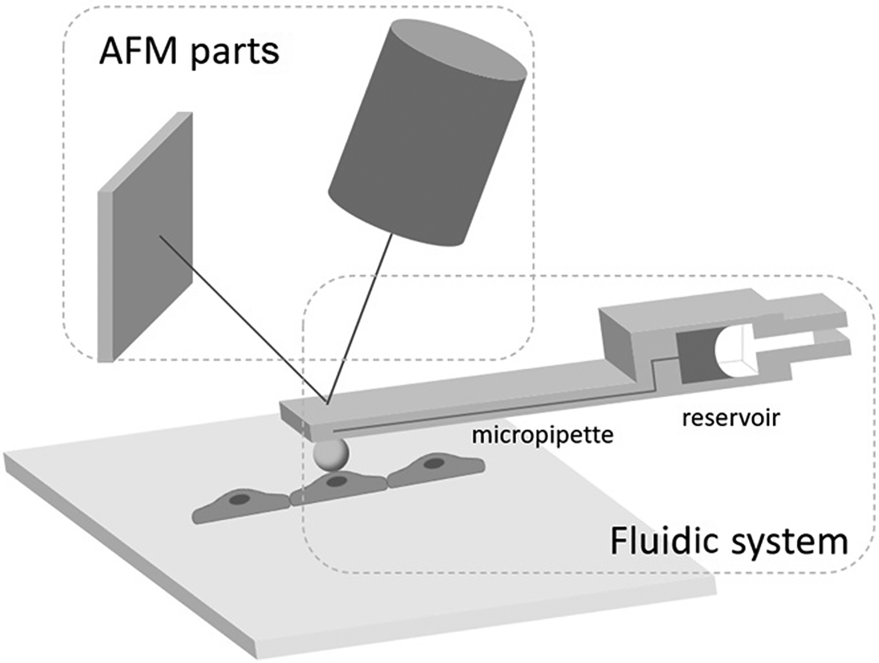 Fig. 1: