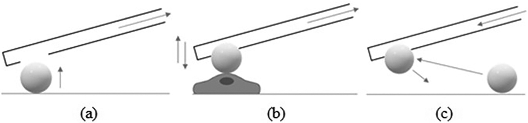 Fig. 2: