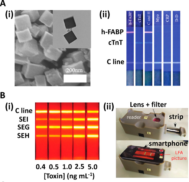 Figure 10